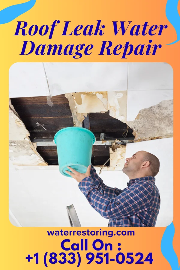 Roof Leak Water Damage Repair in Chico, TX
